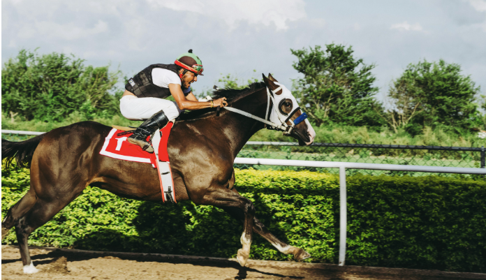 BettingBuddyPro, Your Guide to Online Sports Betting